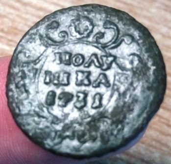РОССИЙСКАЯ ИМПЕРИЯ. 1 ПОЛУШКА 1731.