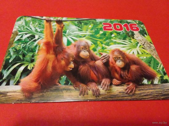 Календарик 2016г.