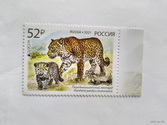 Россия  2021
