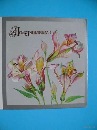 Охотина Н., Поздравляем! 1989, двойная, чистая.