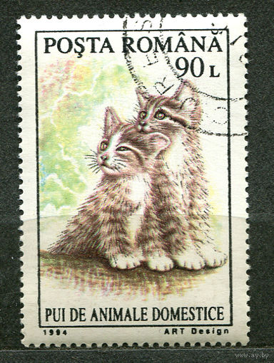 Котята. Кошки. Румыния. 1994