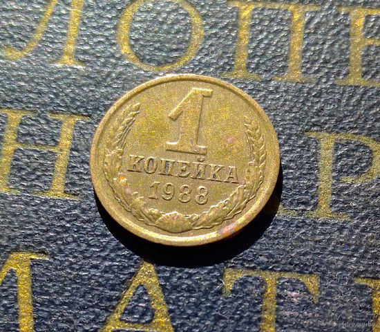 1 копейка 1988 СССР #70