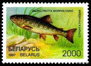 Марки "Форель ручьевая. 2000", "Рыбец. 3000", "Усач. 4500", "Хариус обыкновенный. 4500", "Блок N12. Стерлядь. 5000"