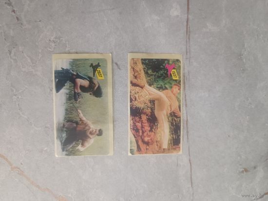 Наклейки kickboxer