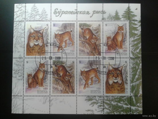 Беларусь 2000 Рысь WWF м/лист Михель-7,0 евро гаш