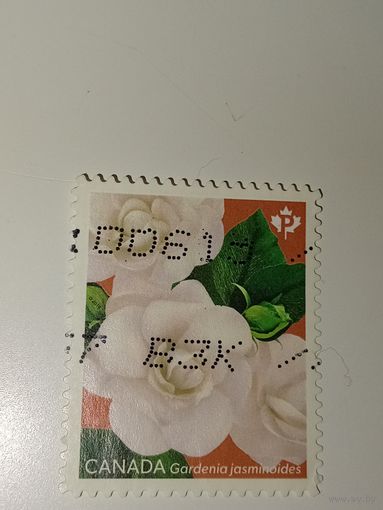 Канада 2019 год День святого Валентина - Гардения