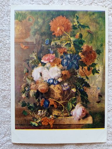 Гейсум. Цветы