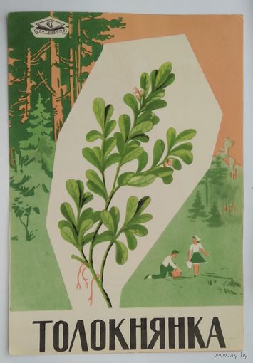 Буклет главкоопторгрекламы ,,толокнянка,, 1967 г