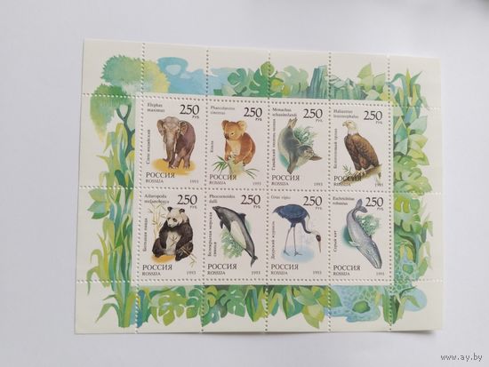 Россия   1993 м/лист дик.животн.