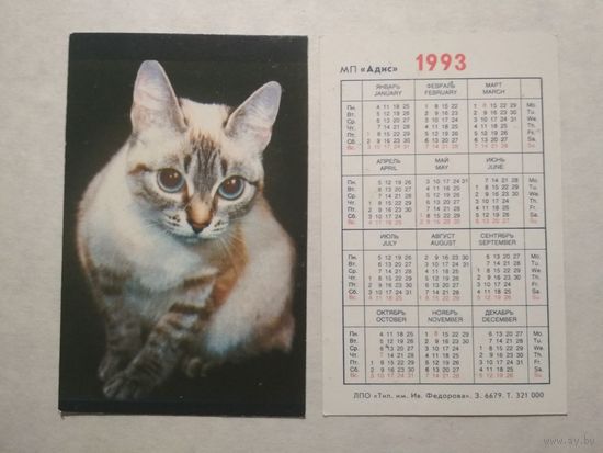Карманный календарик. Котик.1993 год