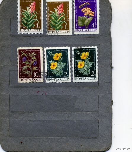 СССР, 1972, ЦВЕТЫ, сборка 6м по 10 коп шт