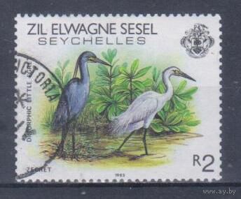 [2076] Сейшеллы внутренние 1983. Фауна.Птицы.Цапли. Гашеная марка. Кат.гаш.3,5 е.