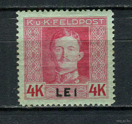 Австро-Венгреская оккупация Румынии - Полевая почта - 1917 - Кайзер Карл I 4 LEI - [Mi.17A] - 1 марка. MH.  (Лот 69CW)