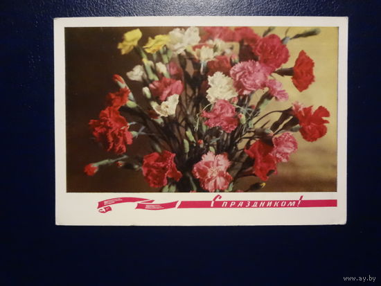 С праздником! Гвоздики. 1972 г. подписанная.