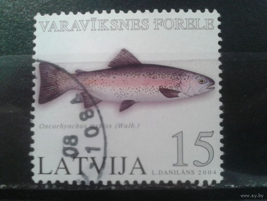 Латвия, 2004. Радужная форель