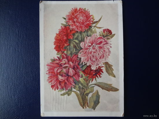 Астры.  1960 г.