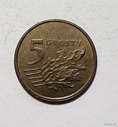 Польша 5 грошей, 2009