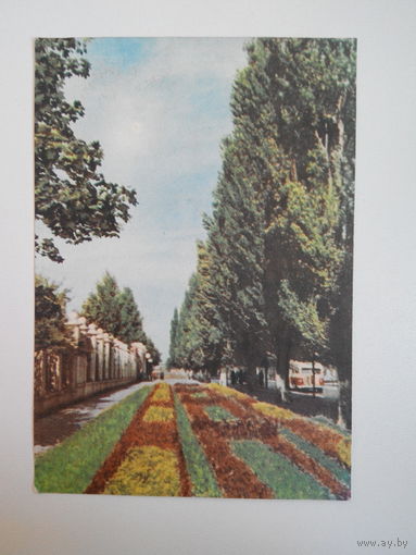 Фото М. и А. Ананьиных. Брест. Сквер на улице Ленина. 1961 год. Чистая. БССР #0038-V1P19