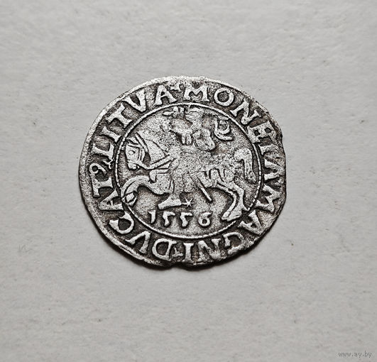Полугрош 1556 г. Сигизмунд II Август, Вильно, лот рп-4,1