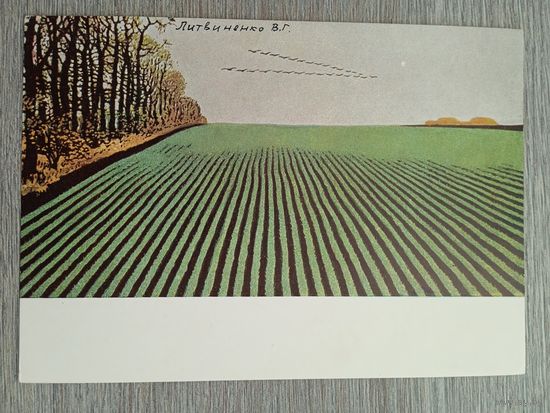 1956. Литвиненко. Золотая осень