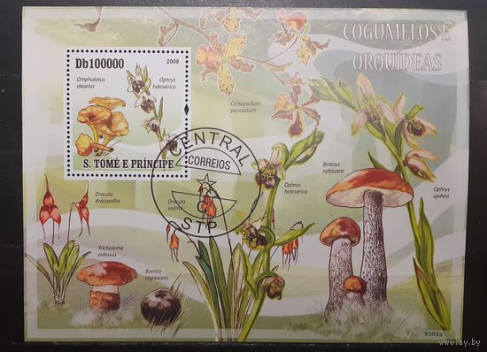 Сен Томе и Принсипи. 2009 год. Флора. Грибы. Блок (1010)