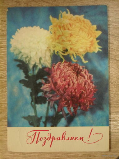 ПОДПИСАННАЯ ОТКРЫТКА СССР. "ПОЗДРАВЛЯЕМ". ФОТО. Г. КОСТЕНКО. 1973 ГОД.