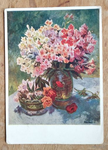 Никонов Н. Флоксы и маки. 1956 г. Подписана.