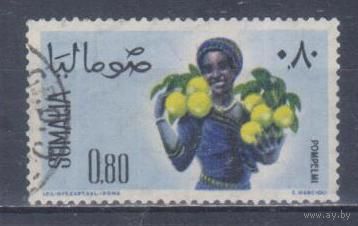 [18] Сомали 1961. Флора.Фрукты.Плоды.Грейпфрут. Концовка серии. Гашеная марка. Кат.гаш.3,4 е.