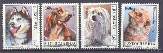 Югославия фауна собаки