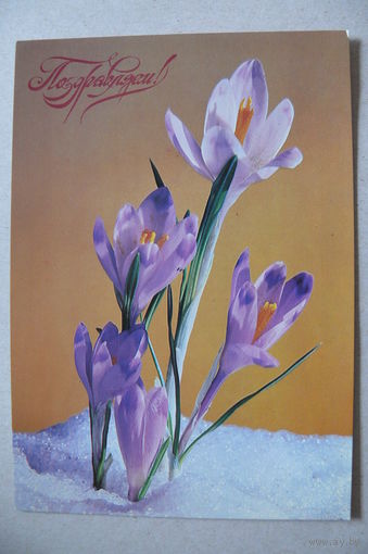 Якименко Р., Поздравляем! 1980, подписана.
