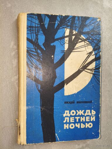 Аркадий Минчковский "Дождь летней ночью"