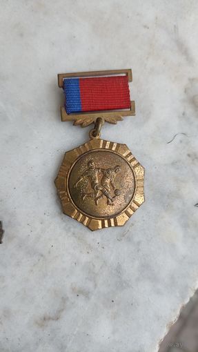 Медаль совета  министров по спорту и туризму