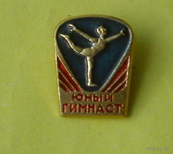 Юный гимнаст. 268.