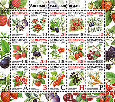 Марки "Марки Лесные и садовые ягоды в листах по 18 шт. Комплект листов. Номиналы 10", "20", "30", "50", "100", "200", "300", "500", "A", "B", "H."