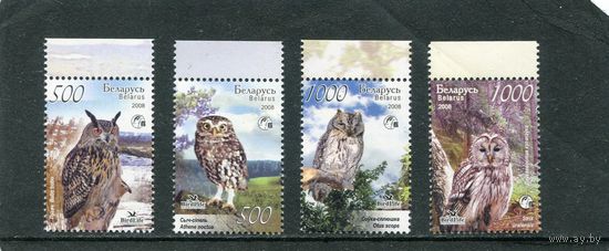 Беларусь 2008. Совы