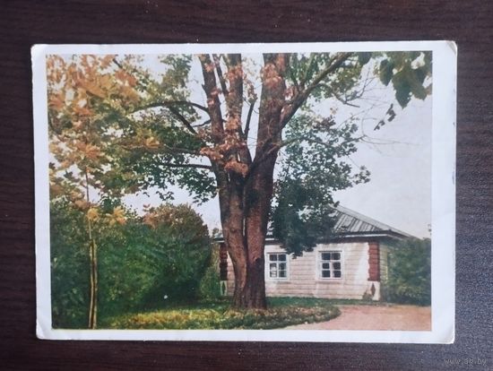 Михайловское. Домик няни. Чистая. 1954г.