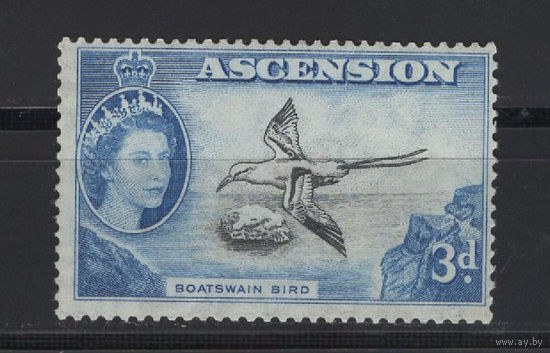 Остров Вознесения / Ascension 1956** Птица Боцман