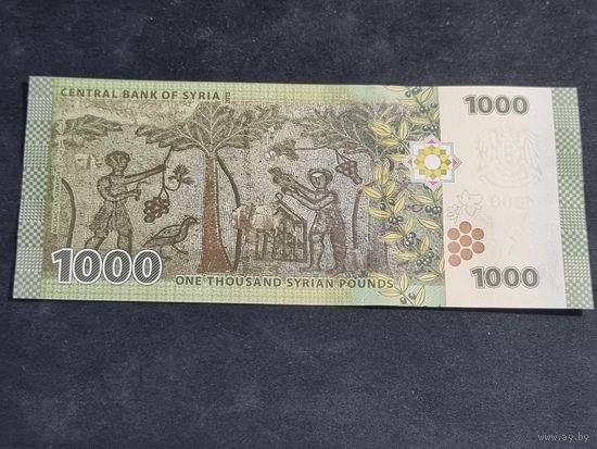 Сирия 1000 фунтов 2013 Unc