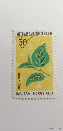 Вьетнам 1974. Медицинские растения.