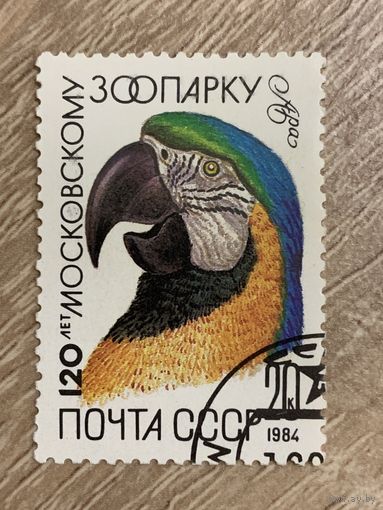 СССР 1984. Попугай Ара. Марка из серии