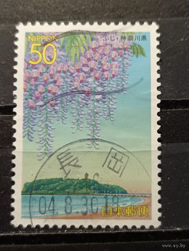 Япония, 2004. Глициния