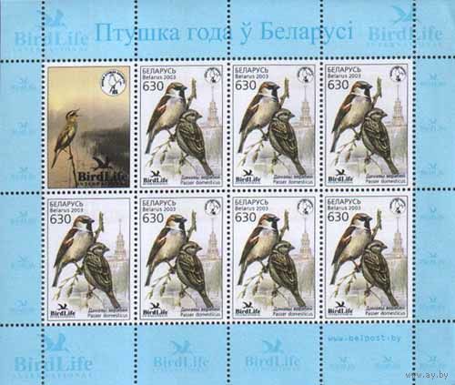 Малый лист "Домовой воробей"