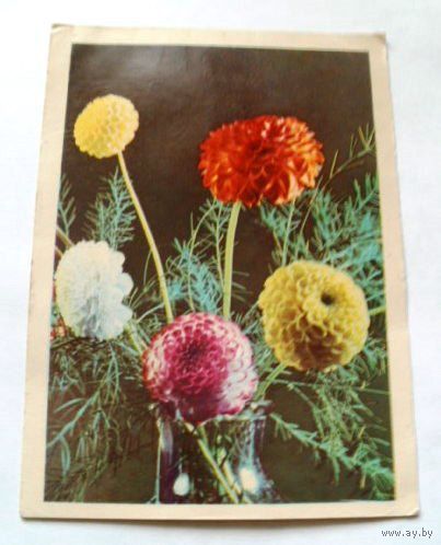 Открытка 1969 (134)