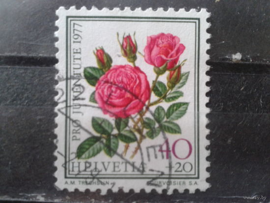 Швейцария 1977 Розы