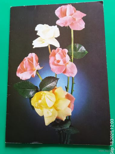 Поздравительная открытка,1988г.