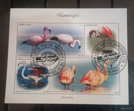 ЛИСТ ФАУНА ПТИЦЫ  СТО