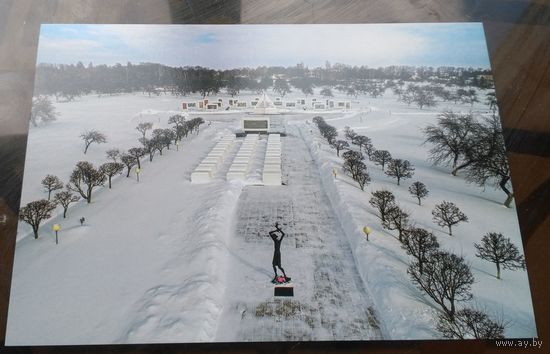 Жлобинский район Красный берег