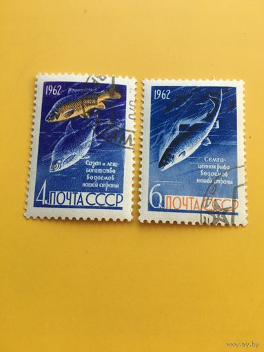 СССР 1962 год рыбы