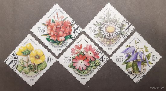 СССР. 1981 год. Флора. Цветы. 5 марок