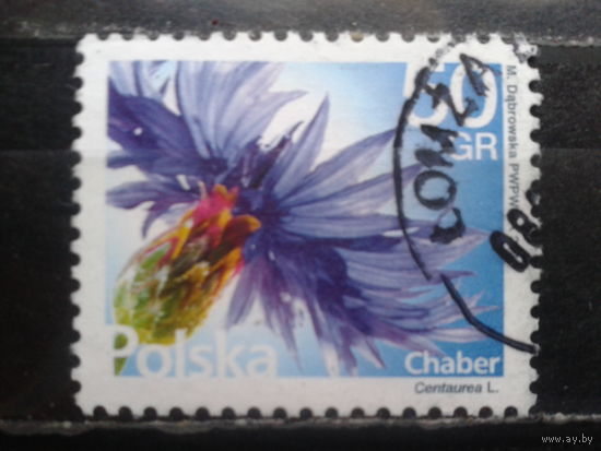 Польша, 2016, Стандарт, Василек